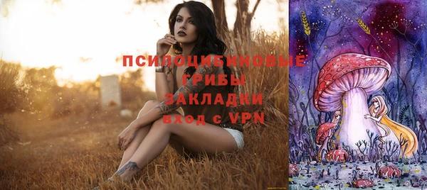 мет Краснослободск