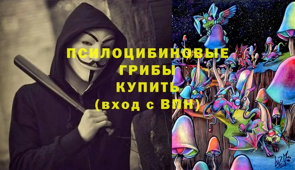 ешки Краснотурьинск