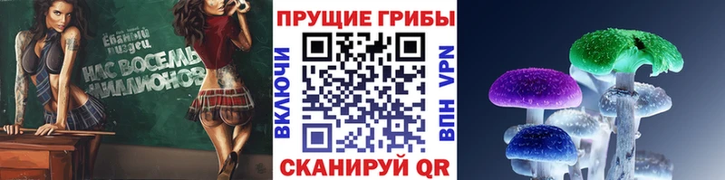 Купить где  Шиханы  Псилоцибиновые грибы GOLDEN TEACHER 